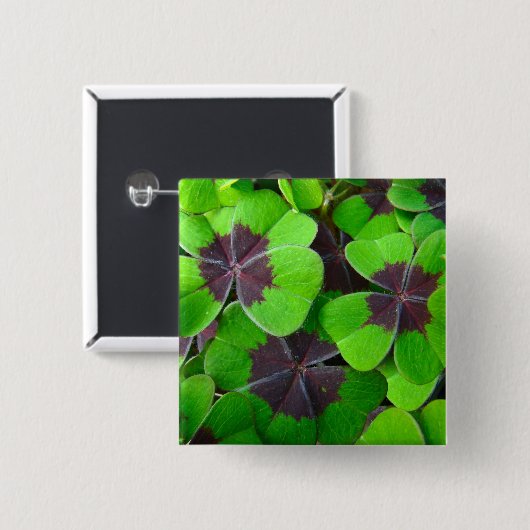 Oxalis-bladeren - rood en groen vierkante button 5,1 cm (Voorkant /achterkant)