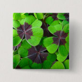 Oxalis-bladeren - rood en groen vierkante button 5,1 cm (Voorkant)