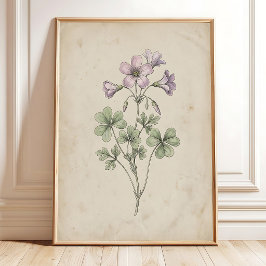 Oxalis Bloem Vintage Boerderij Kunstprint Poster