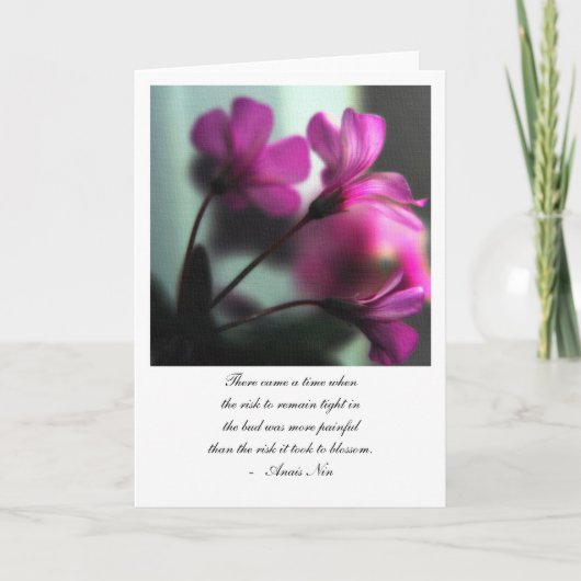 Oxalis Kaart (Voorkant)