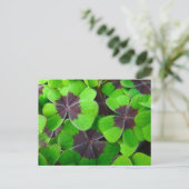 Oxalis Leaves - Rood en Groen Briefkaart (Staand voorkant)