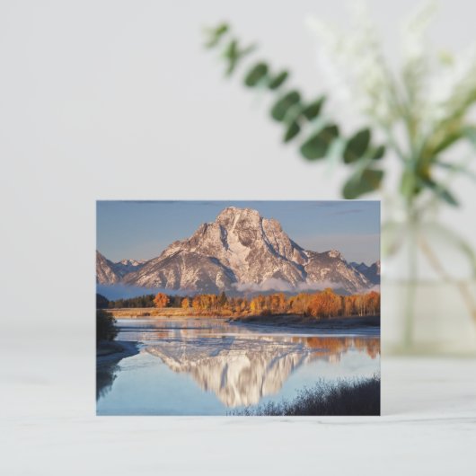 Oxbow Bend, Grand Tetons, in het ochtendlicht... Briefkaart (Staand voorkant)