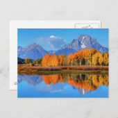 Oxbow Bend Sunrise Briefkaart (Voorkant / Achterkant)