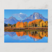 Oxbow Bend Sunrise Briefkaart (Voorkant)