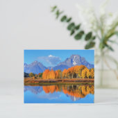 Oxbow Bend Sunrise Briefkaart (Staand voorkant)