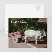 Oxcart, Costa Rica-Briefkaart Briefkaart (Voorkant / Achterkant)