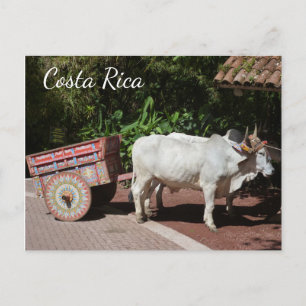 Oxcart, Costa Rica-Briefkaart Briefkaart