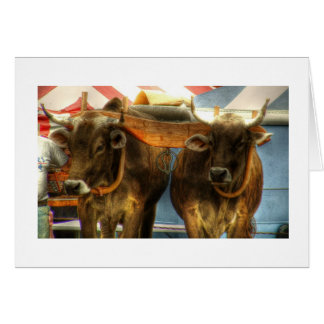 Oxen Team op Sandwich Fair: Kaart