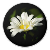 Oxeye Daisy Ceramic Pull Keramische Knop (Voorkant)