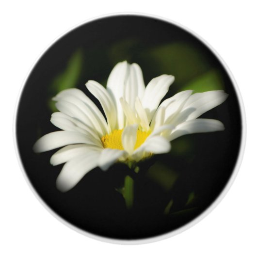 Oxeye Daisy Ceramic Pull Keramische Knop (Voorkant)