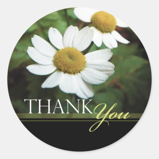 Oxeye Daisy Floral Bedankt Envelope Seals Ronde Sticker (Voorkant)