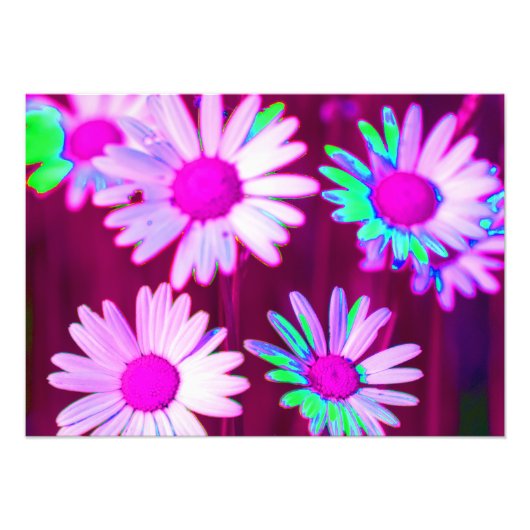 Oxeye Daisy Meadow Pop Art Style Foto Afdruk (Voorkant)