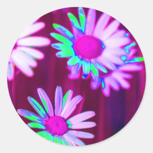 Oxeye Daisy Meadow Pop Art Style Ronde Sticker