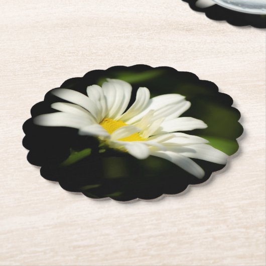 Oxeye Daisy Onderzetters gescand (Gekanteld)