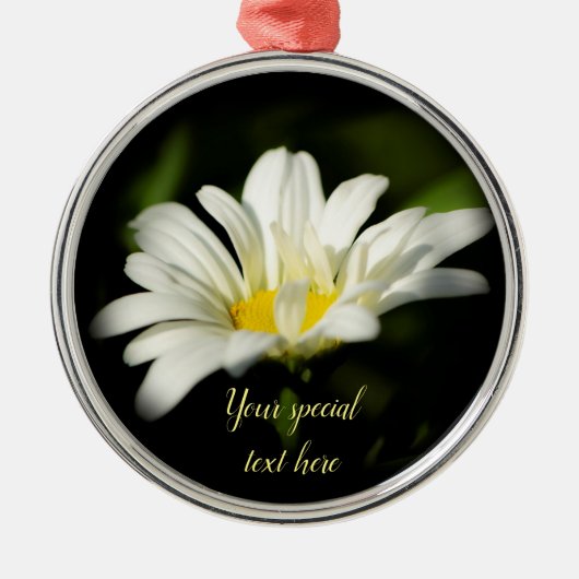 Oxeye Daisy Premier Round Ornament (Voorkant)