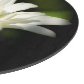 Oxeye Daisy ronde glazen snijplank (Hoek)