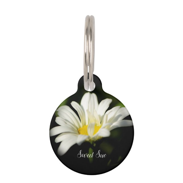 Oxeye Daisy Ronde Hond Label Huisdierpenning (Voorkant)