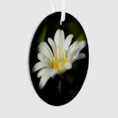 Oxeye Daisy Round AcrylOrnament Ornament (voorkant)