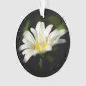 Oxeye Daisy Round AcrylOrnament Ornament (voorkant)