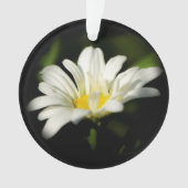 Oxeye Daisy Round AcrylOrnament Ornament (voorkant)