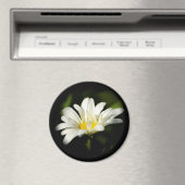 Oxeye Daisy Round Magnet (Insitu (Vaatwasser))