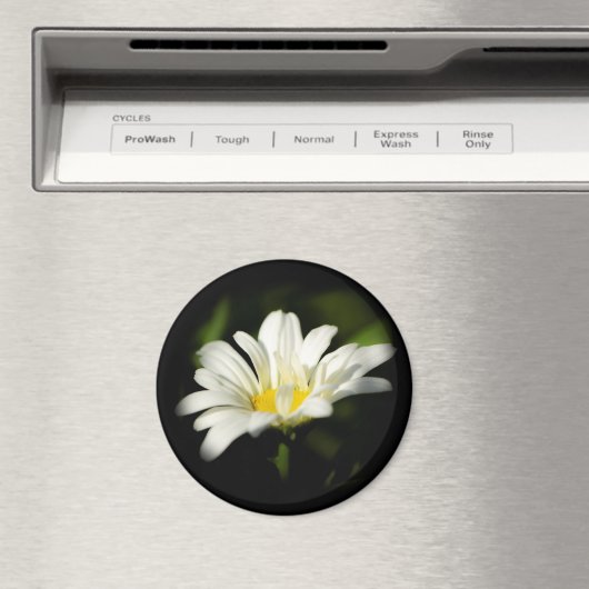 Oxeye Daisy Round Magnet (Insitu (Vaatwasser))