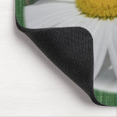 Oxeye Daisy Wildflower Florence Muismat (Hoek)