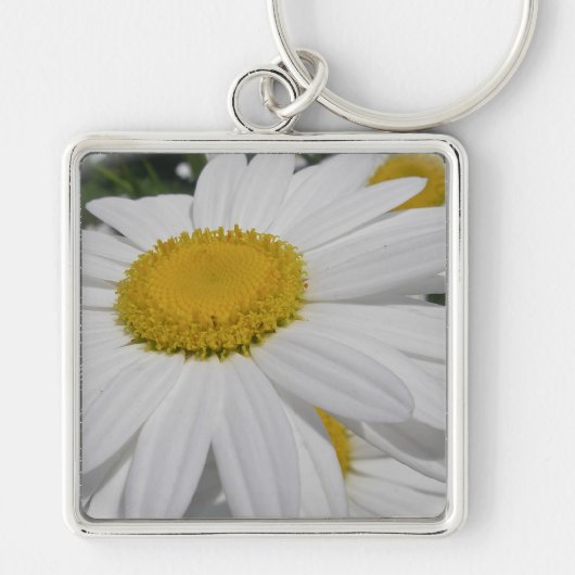 Oxeye Daisy Wildflower Florence Sleutelhanger (Voorkant)
