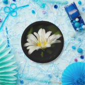 Oxeye Daisy Wildflower Paper Bord (Feest)