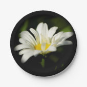 Oxeye Daisy Wildflower Paper Bord (Voorkant)
