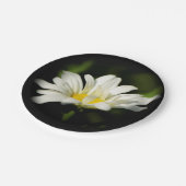 Oxeye Daisy Wildflower Paper Bord (Gekanteld)
