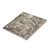 Oxford clay ammonitoring Photography Tegeltje (Zijkant)