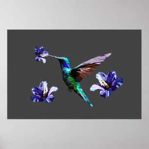 Oxford Gray Gorgood Hummingbird/Hibiscus Poster