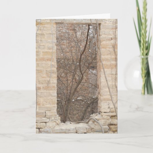 "Oxford Mill Window Vine"-kerstkaart Kaart (Voorkant)