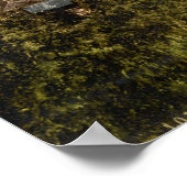 Oxford, Oxfordshire, Engeland Poster (Hoek)