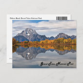 Oxibox Buig in de Herfst Briefkaart (Voorkant / Achterkant)