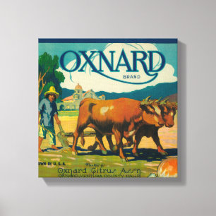 Oxnard Oranje LabelOxnard, CA Canvas Afdruk