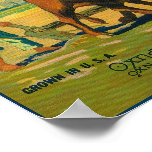 Oxnard Oranje LabelOxnard, CA Poster (Hoek)