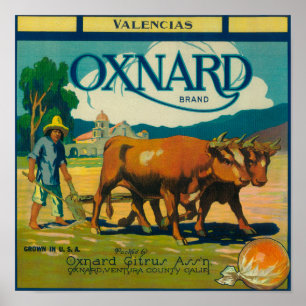 Oxnard Oranje LabelOxnard, CA Poster