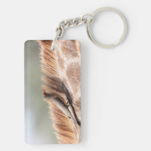 Oxpecker op een giraf sleutelhanger