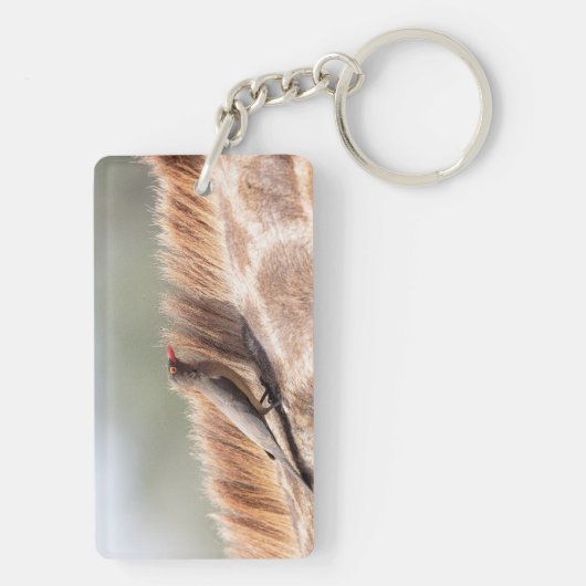 Oxpecker op een giraf sleutelhanger (achterkant)