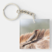 Oxpecker op een giraffe sleutelhanger (Voorkant)