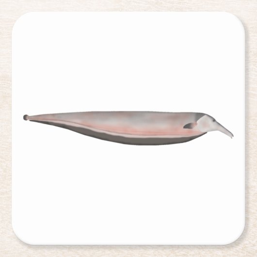 Oxyrhynchus Tube-snouted Ghost Knifefish Kartonnen Onderzetters (Voorkant)