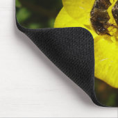Oxythyrea Funesta Beetles Mouse Mat Muismat (Hoek)