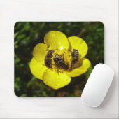 Oxythyrea Funesta Beetles Mouse Mat Muismat (Met muis)