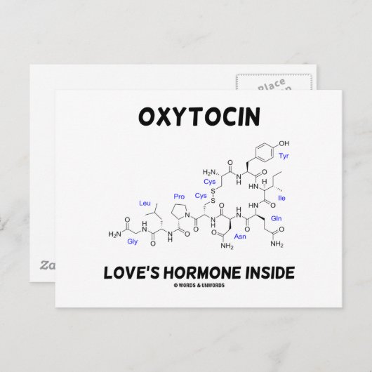 Oxytocin Love's Hormone Inside (chemie) Briefkaart (Voorkant / Achterkant)