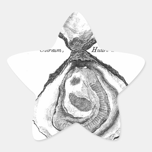  Oyster Animal Print Ster Sticker (Voorkant)