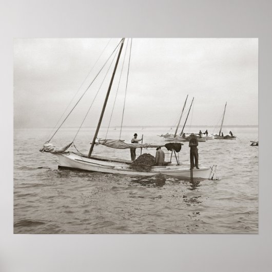 Oyster Boats, 1903.  foto Poster (Voorkant)
