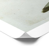 Oyster Catcher, c.1767-76 (met de hand gekleurde g Poster (Hoek)