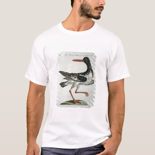 Oyster Catcher, c.1767-76 (met de hand gekleurde g T-shirt (Voorkant)